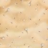 24465-S - Heartfelt - 1Yd Precut