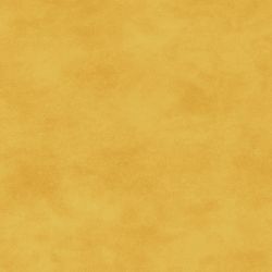 513-S42 - Shadowplay
