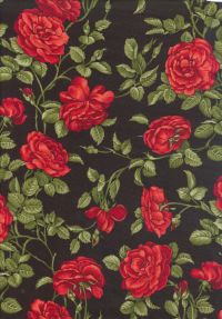F951-6 - Renaissance