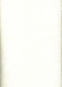 FD101-16 - Plaster of Paris