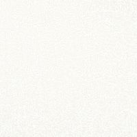 37412-WHI - GalaxyWhite TOT - 3/4 Yd Bolt End