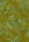 H50-17 Olive - Perfect Palette