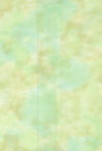 H50-31 Pistachio - Perfect Palette - 3/4 YD Bolt End