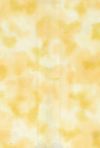 H50-33 Buttermilk - Perfect Palette