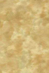 H50-40 Sand - Perfect Palette - 1 YD Precut