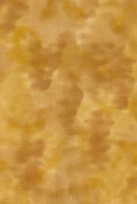 H50-43 Wheat - Perfect Palette