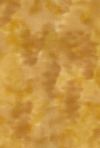 H50-43 Wheat - Perfect Palette