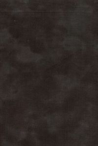 H50-53 Black - Perfect Palette - 1.25 Yd Bolt End